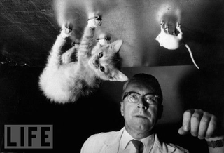 Illustration for article titled Scientific Progress' Most Bizarre and Baffling Moments